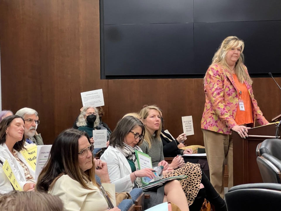 <strong>State Rep. Gloria Johnson (D-Knoxville) told the House Population Health Subcommittee about her abortion on Tuesday, March 14. Reproductive health advocates sat in the audience and held signs.</strong> (Ian Round/The Daily Memphian)