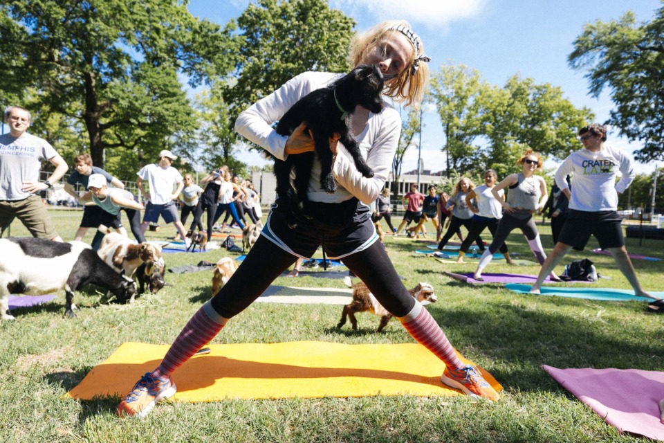 <strong>The Memphis Medical District Collaborative is partnering with Rossville&rsquo;s Jameson Woods Farm for two sessions of goat yoga on Sunday, May 19, in Health Sciences Park. </strong>(Ziggy Mack/Special to The Daily Memphian)&nbsp;