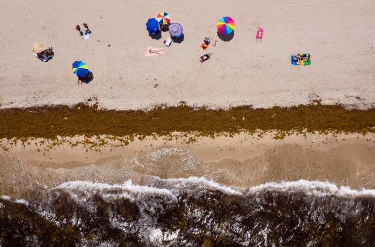 Seaweed lines the beach and floats in the ocean Delray Beach, Fla., Friday, July 5, 2019.&nbsp;This spring, Florida is bracing for a vast mat of foul-smelling seaweed that has been forming in the Atlantic Ocean for months. (Greg Lovett/Palm Beach Post via AP)