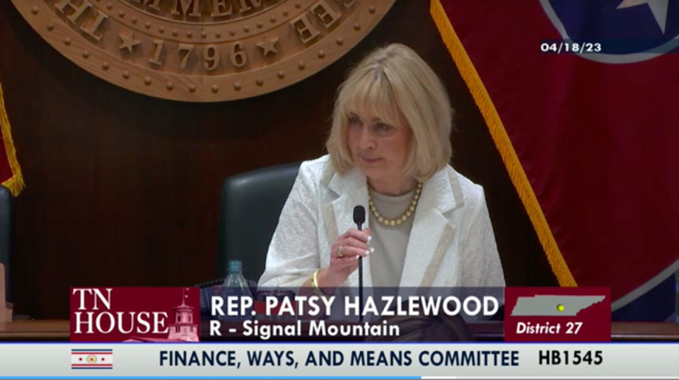 <strong>State Rep. Patsy Hazlewood (R-Signal Mountain), who chairs the House Finance, Ways and Means Committee, speaks at a April 18 hearing.</strong> (Tennessee House of Representatives April 18 Senate Finance, Ways and Means Committee hearing screenshot)