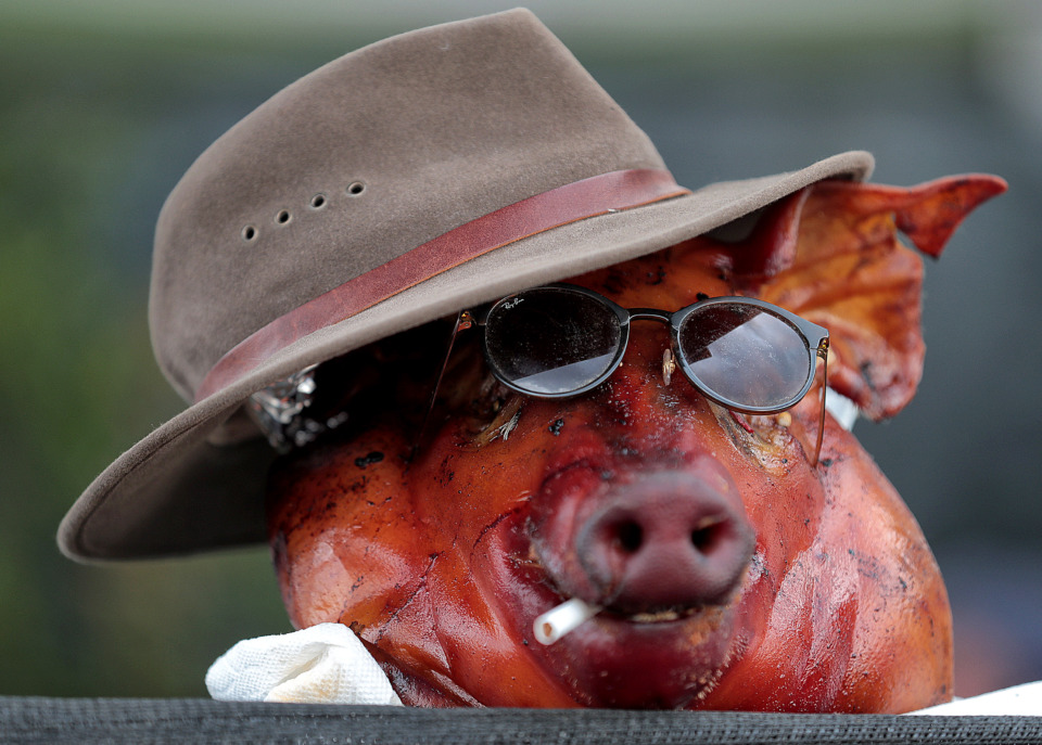 <strong>The Barbecue Republic team gives their whole hog a little style on the final day of the 2019 Memphis in May World Championship Barbecue Cooking Contest at Tom Lee Park on May, 18, 2019.</strong> (Jim Weber/Daily Memphian)