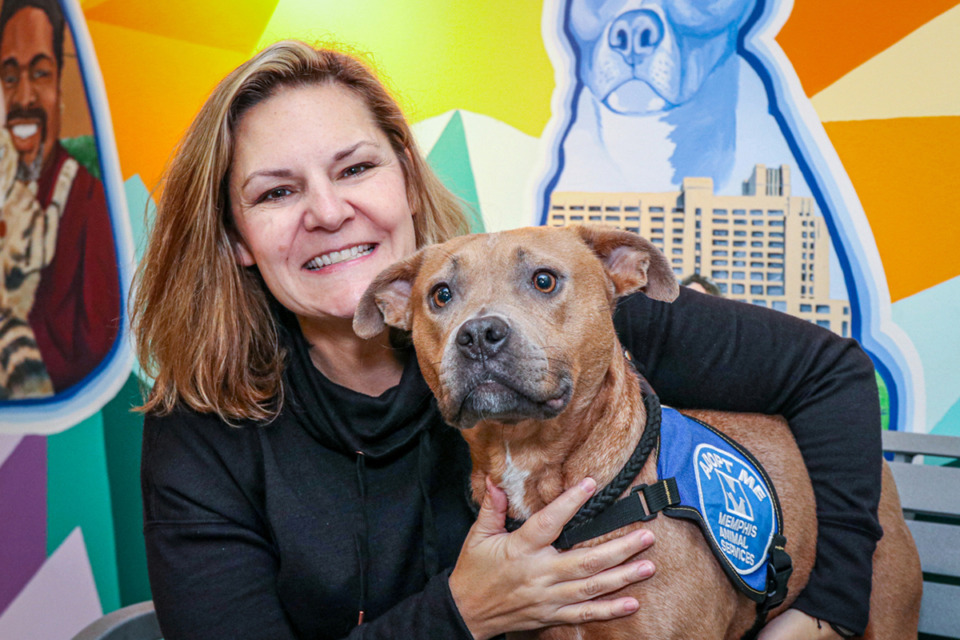 <strong>Alexis Pugh will leave Memphis Animal Services, where she has been director since 2016, to work for Best Friends Animal Society.</strong> (The Daily Memphian file)