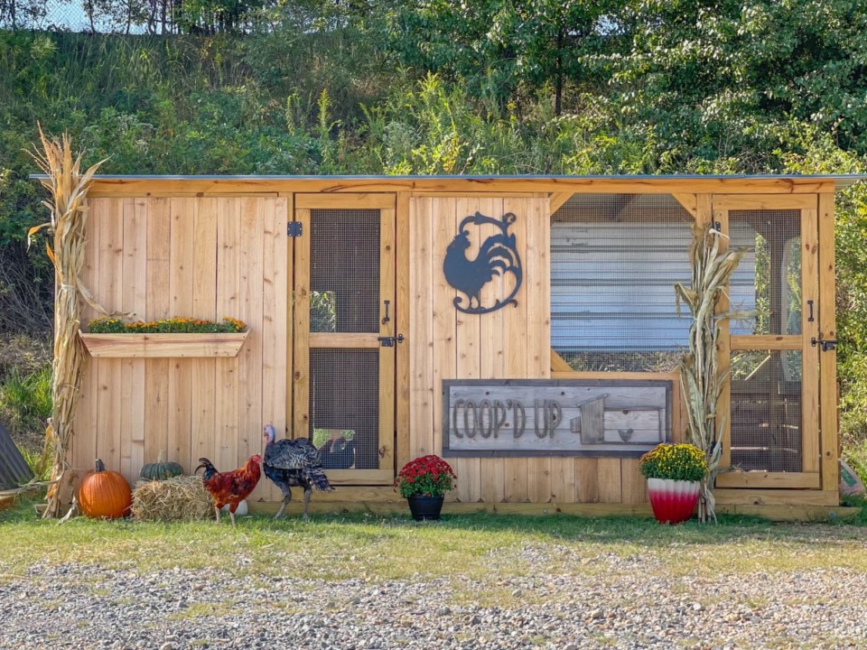 <strong>DeSoto County business Coop&rsquo;d Up offers a range of chicken coops and chicken runs, including custom orders. </strong>(Courtesy Coop&rsquo;d Up)