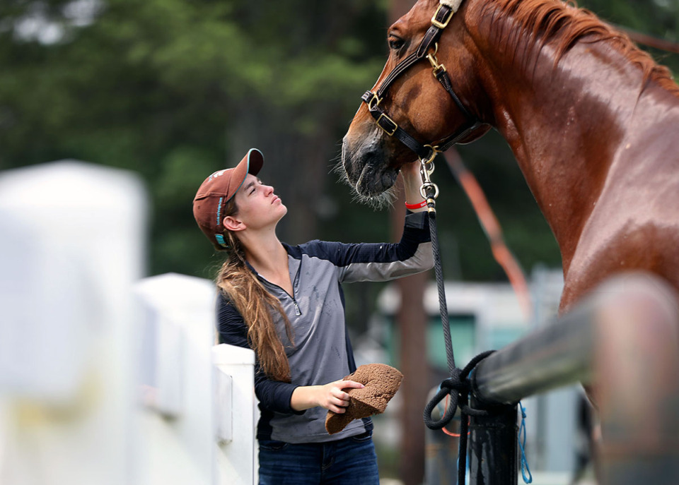 <strong>Isabella Murphy gets Starkko show-ready for the 71st Germantown Charity Horse Show June 3, 2019.</strong> (Patrick Lantrip/The Daily Memphian file)