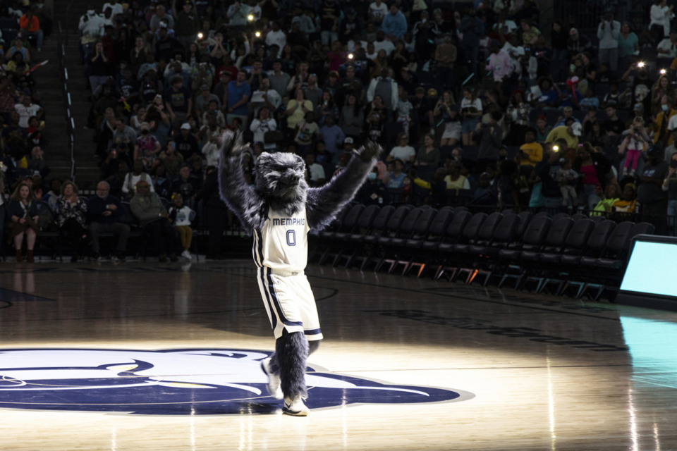 <strong>Grizz, the Memphis Grizzlies mascot, greets fans during the Grizzlies&rsquo; annual open practice Sunday, Oct. 9, 2022, at FedExForum.</strong> (Brad Vest/Special to The Daily Memphian)