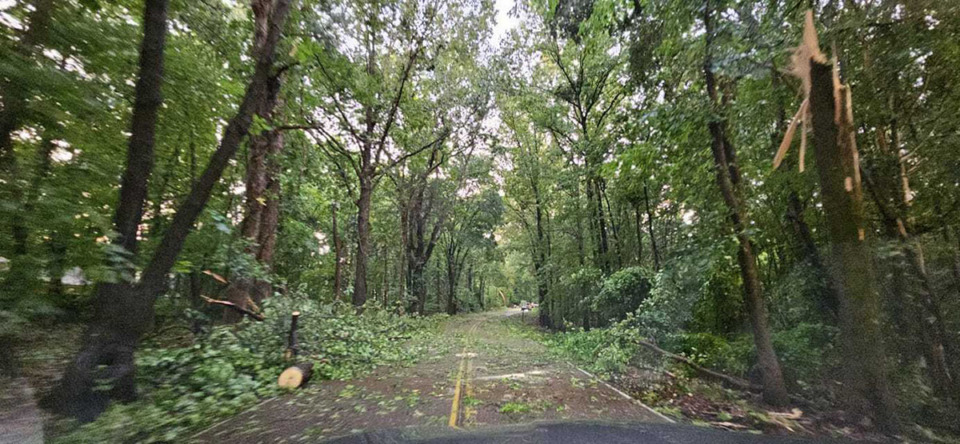 <strong>Storm damage along Seed Tick Road in Lakeland following the Sunday evening storms on June 25, 2023.</strong> (Courtesy Wesley Alan Wright)