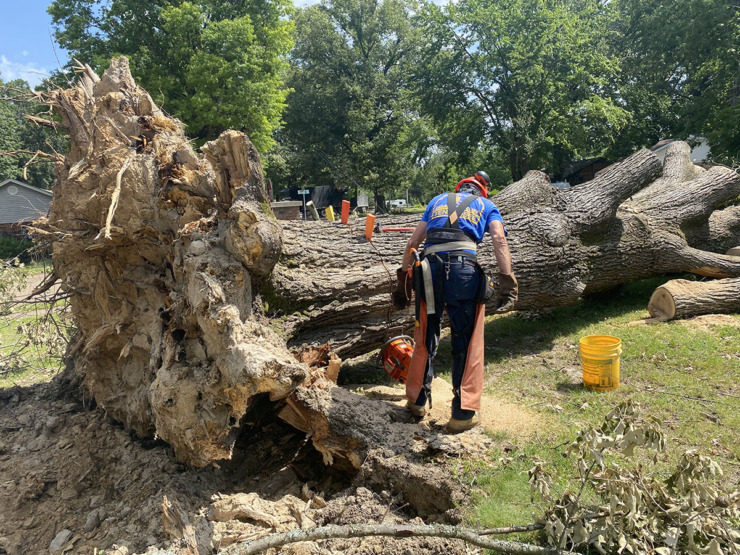 <strong>Mike Morris of Tennessee Disaster Relief cuts up a large tree on Oak Road in Bartlett.</strong> (Michael Waddell/Special to The Daily Memphian)