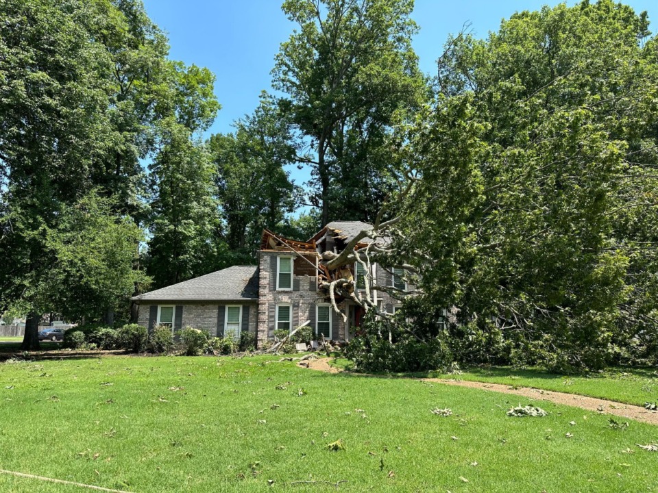 <strong>An oak tree fell on a Germantown home near Kilbirnie Drive Sunday, July 2, in an evening storm that left the area without power.</strong> (Keely Brewer/The Daily Memphian)