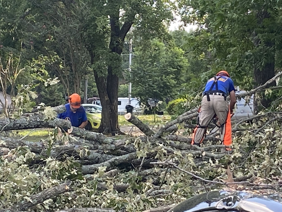 <strong>A crew from Tennessee Disaster Relief cuts up a tree on Oak Road in Bartlett on June 29, 2023.Memphis Light, Gas and Water has failed to meet its annual tree-trimming goal since the late 1990s.</strong> (Michael Waddell/The Daily Memphian file)