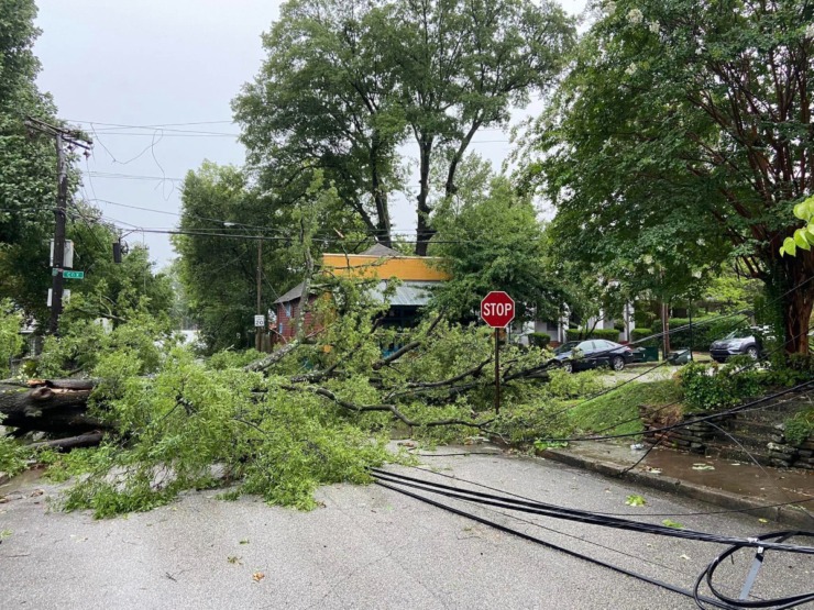 <strong>A tree that fell across Harbert Avenue at Cox Street took down utility lines before it hit the ground Friday afternoon, July 21.&nbsp;No injuries were reported.</strong> (Courtesy Jay Hoffman)