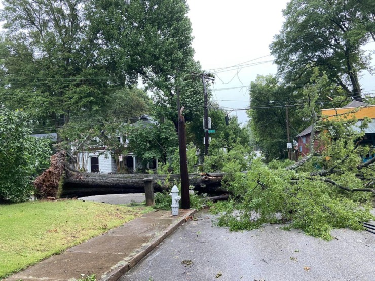 <strong>High winds uprooted an oak tree on Harbert Avenue at Cox Street in Midtown Friday, July 21, 2023.</strong> (Courtesy Jay Hoffman)