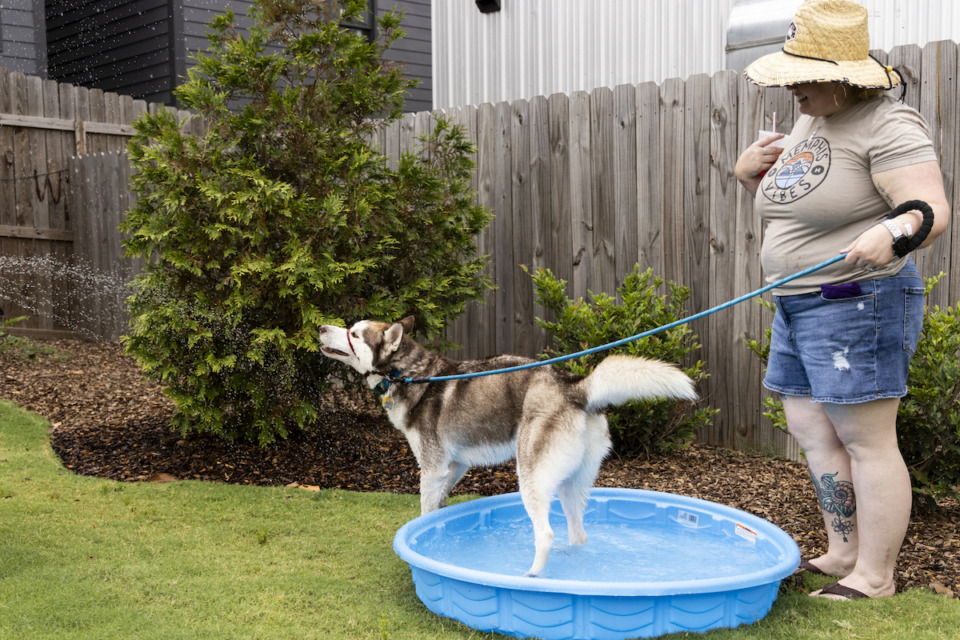 <strong>Emily Liddell watches as their dog, Riley, cools off during Paws and Outlaws the Streetdog Foundation&rsquo;s Western-themed dog party to celebrate its 14th year of existence.</strong> (Brad Vest/Special to The Daily Memphian)