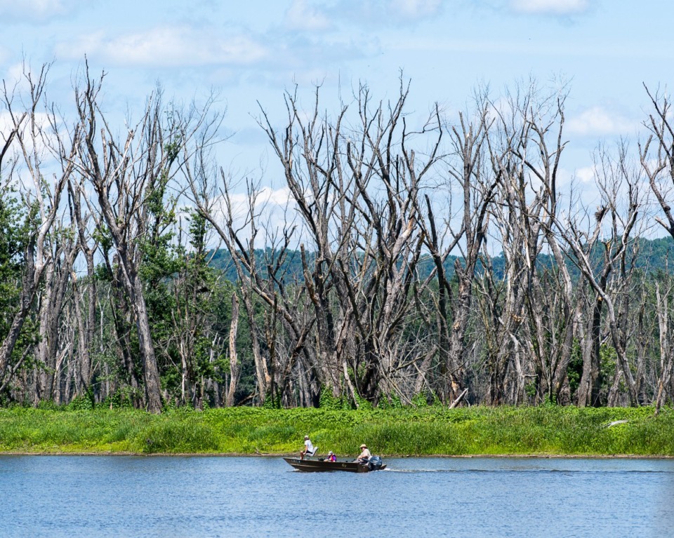 <strong>People fish at Reno Bottoms, a wildlife area in the backwaters of the Mississippi River, on July 18, 2023.</strong>&nbsp;(Credit: Jovanny Hernandez, Milwaukee Journal Sentinel)