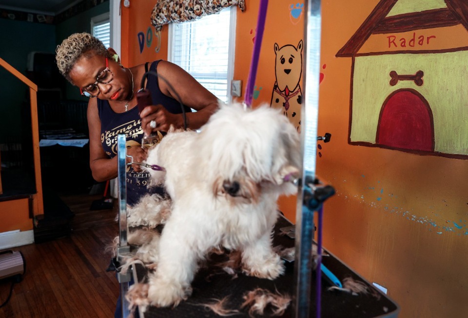 <strong>Glamour Grooming &amp; Boarding owner Belinda Fisher-Hale gives Spencer a haircut on Friday, Sept. 29, 2023.&nbsp;</strong>(Mark Weber/The Daily Memphian)