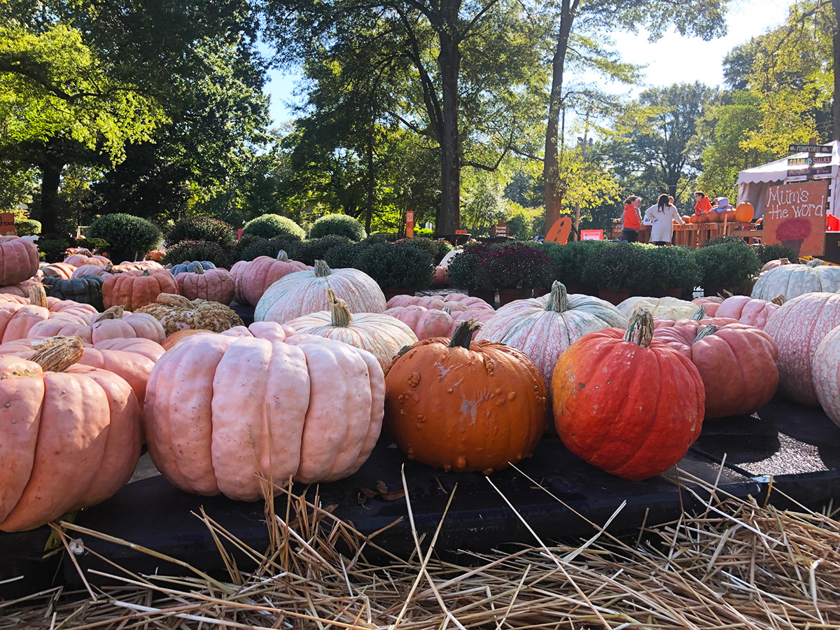 A Memphis guide to pumpkin patches, haunted houses and Halloween