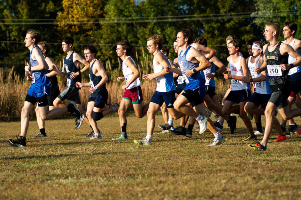 <strong>The start of the Division 2-A West Region Championship boys race on Oct. 26, at Shelby Farms.</strong> (Joshua White/Special to The Daily Memphian)