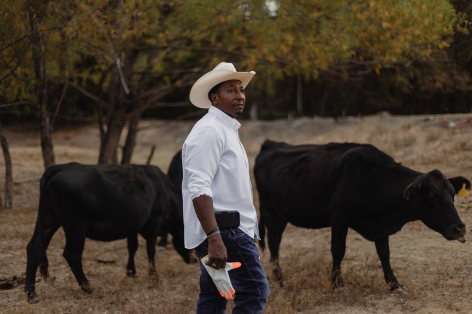 <strong>Albert Johnson Jr. walks among the cattle on his family farm near Lexington, Mississippi.&nbsp;</strong>(Imani Khayyam/Mississippi River Basin Ag &amp; Water Desk)