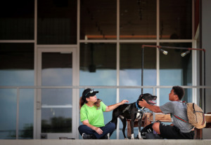 <strong>Leslie Barton with the Memphis and Shelby County Humane Society lets Jayden Ciaramitaro (right) get in some petting time with Bo during a rest on the porch at the Shelby Farms' FedEx Event Center at the East side of Hyde Lake on July 3, 2019 where the park is planning to get a new restaurant this fall.</strong> (Jim Weber/Daily Memphian)
