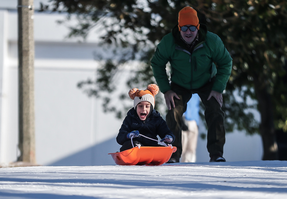 <strong>Alex Neale pushes his son, Charlie, down a hill in Overton Park Jan. 16, 2024.</strong> (Patrick Lantrip/The Daily Memphian)