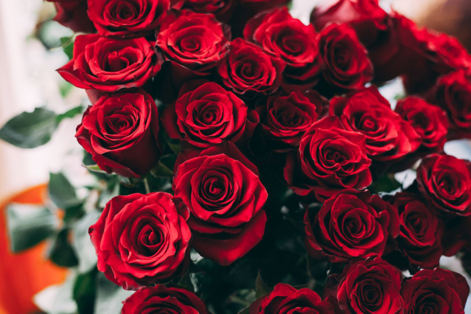 <strong>There are plenty of acitivties in Memphis for Valentine&rsquo;s Day this year, including a&nbsp;Valentine&rsquo;s Day market, a&nbsp;Beyonce laser light show, dance classes and more.</strong>&nbsp;(Courtesy Pexels)