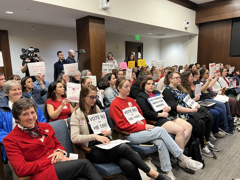 <strong>Abortion-rights advocates filled a hearing room on Feb. 6 to protest Rep. Jason Zachary&rsquo;s bill criminalizing &ldquo;abortion trafficking of a minor.&rdquo; The bill was delayed, then passed by the House Population Health Subcommittee on Tuesday, Feb. 13.</strong> (Ian Round/The Daily Memphian)