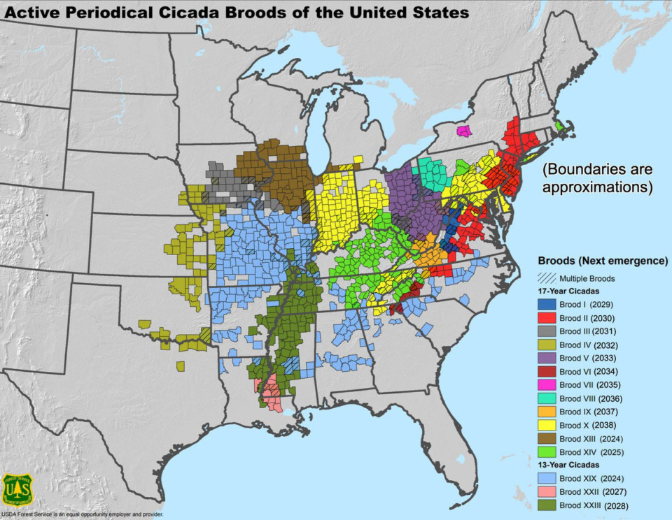 <strong>This map shows the location of active periodical cicada broods in the United States.</strong> (Andrew M. Liebhold, Michael J. Bohne and Rebecca L. Lilja/United States Department of Agriculture Forest Service)