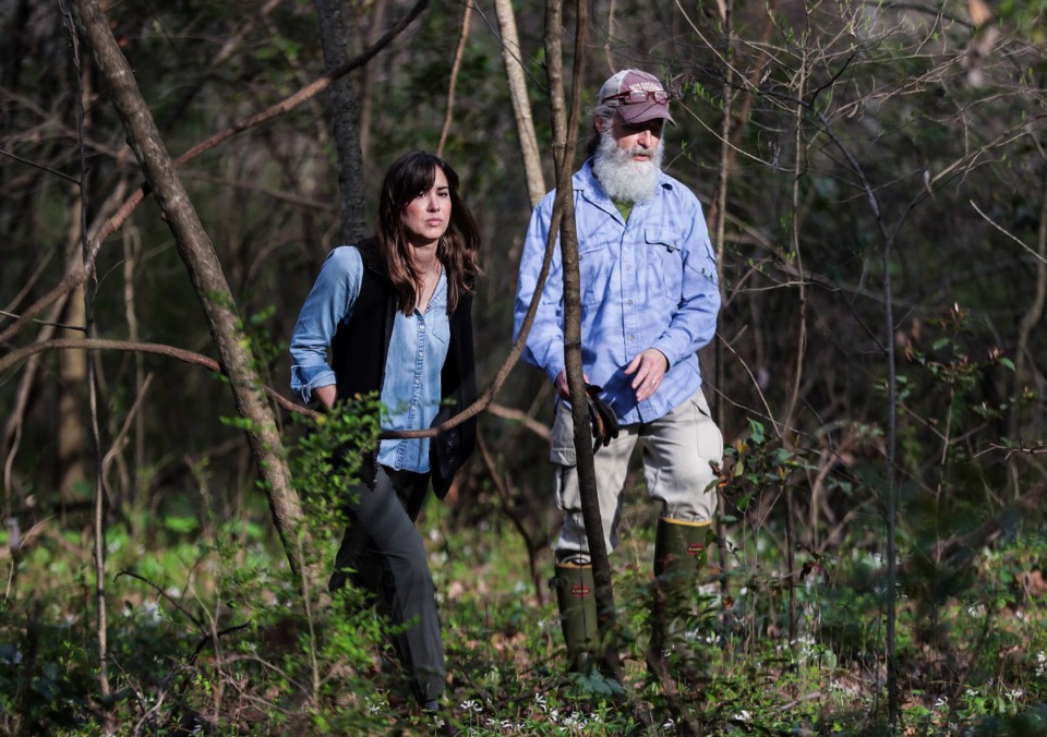 <strong>Eric Bridges and Annelise Danielson walked a path that will eventually become a new trail in Overton Park&rsquo;s Old Forest.</strong> (Patrick Lantrip/The Daily Memphian)