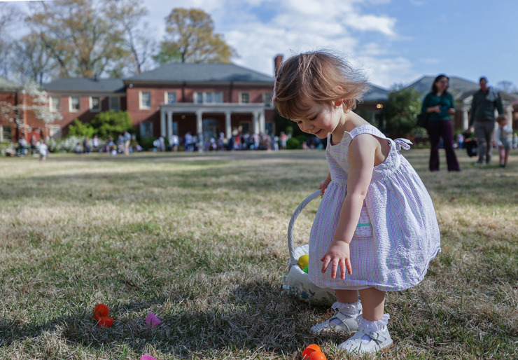 <strong>Two-year old Camile hunts for Easter eggs at the Dixon Gallery and Gardens March 30.</strong> (Patrick Lantrip/The Daily Memphian)
