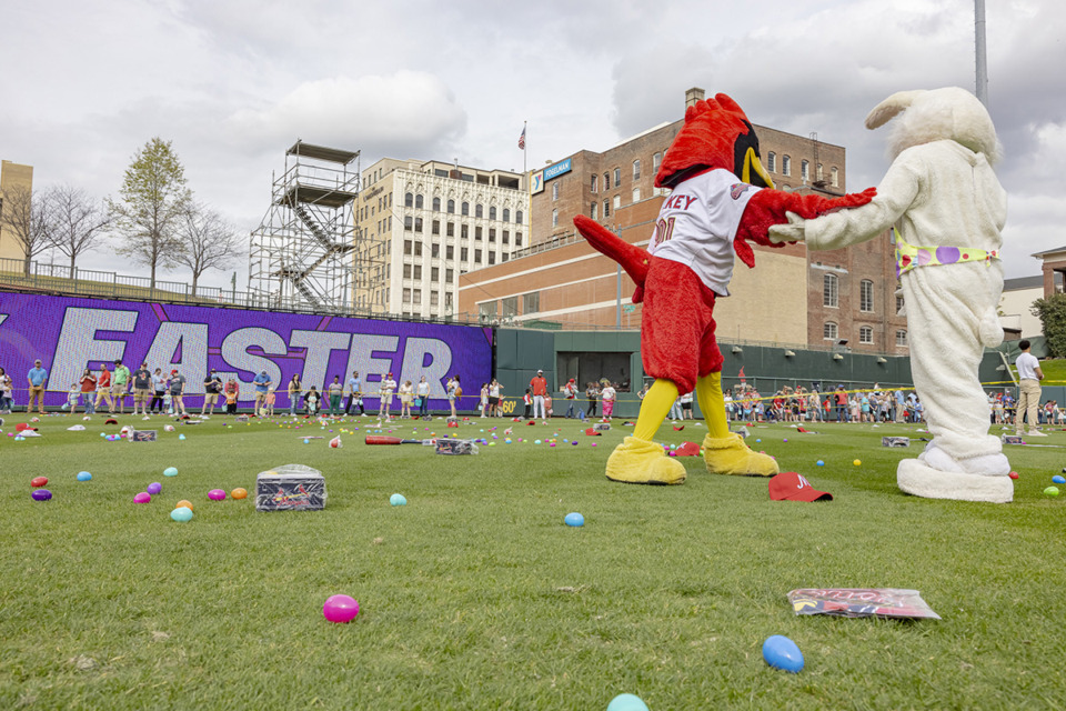 <strong>Rockey the Redbird and the Easter Bunny prepare to give a signal to start the Memphis Redbirds Easter Egg Hunt in the outfield of AutoZone Park in Downtown on Sunday, March 31, 2024.</strong> (Ziggy Mack/Special to The Daily Memphian)