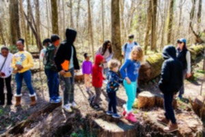 <strong>An Old Forest scavenger hunt takes place at Overton Park.</strong> (Courtesy Overton Park Conservancy)
