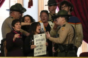 <strong>People in the gallery of the Tennessee House of Representatives chamber are removed by state troopers after a bill allowing some teachers to be armed in schools passes during a legislative session April 23 in Nashville.</strong> (George Walker IV/AP file)