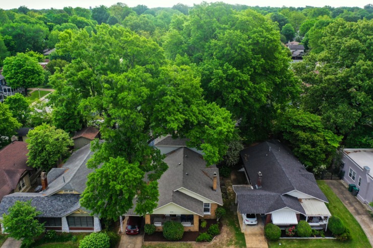 Mature oak trees engulf a row of houses in Midtown Memphis. Residents surrounded by trees can save money on their utilities due to protection from the sun. (Patrick Lantrip/The Daily Memphian)