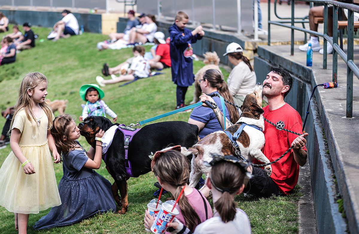 <strong>Robert Frost gets kisses from his dog Patches while his other dog Mia makes new friends during Bark in the Park at AutoZone Park April 27.</strong> (Patrick Lantrip/The Daily Memphian)