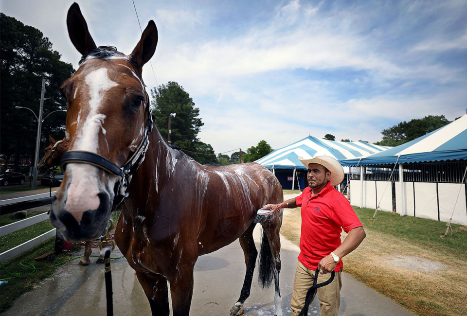 <strong>Alfredo Ramirez gives his horse Jolene a bath on the eve of the Germantown Charity Horse Show June 3, 2019.</strong> (Patrick Lantrip/The Daily Memphian file)