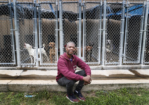 <strong>The City of Horn Lake Animal Shelter Director Glenn Andrews says &ldquo;The entire time I&rsquo;ve been here, we&rsquo;ve been over capacity.&rdquo;</strong>&nbsp;(Mark Weber/The Daily Memphian)