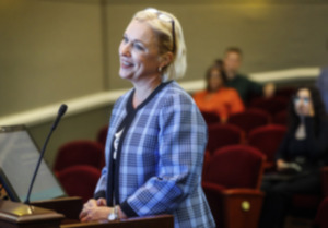 <strong>Molly Mehner was appointed town administrator in 2022. The 2024-25 budget is the second&nbsp;she&rsquo;s&nbsp;worked on in Collierville.</strong> (Mark Weber/The Daily Memphian file)