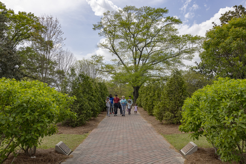 <strong>Master gardener Judith Hammond leads the Spring Walk tour along the grounds of Memphis Botanic Garden April 7.</strong> (Ziggy Mack/Special to The Daily Memphian)