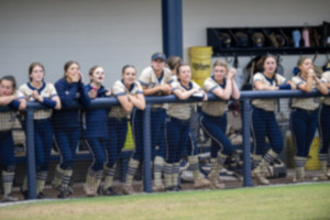<strong>The Arlington High School softball team during a district play-off game with Central High School, Monday, May 13, 2024.</strong> (Greg Campbell/Special to The Daily Memphian)
