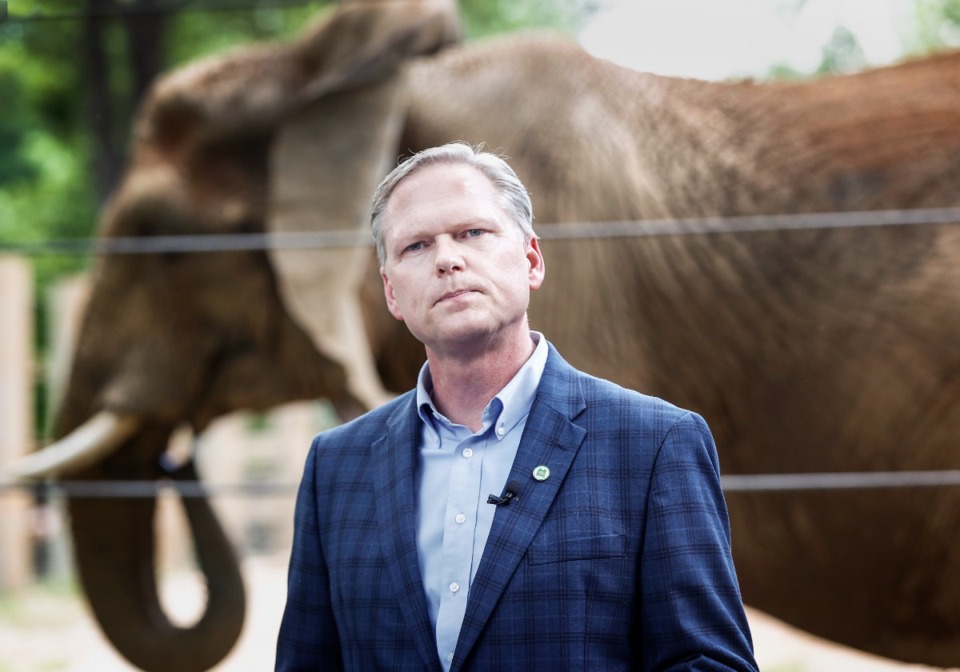 <strong>Memphis Zoo President and CEO Matt Thompson stands in front of Gina the Elephant during a press conference May 21.</strong>&nbsp;(Mark Weber/The Daily Memphian)