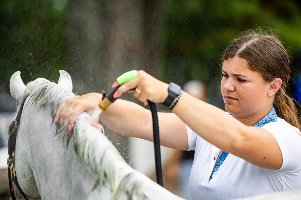 <strong>Kayla Benson from Oak View Stables bathes a horse during the 75th anniversary of the Germantown Charity Horse Show Tuesday, June 4, 2024.</strong> (Benjamin Naylor/The Daily Memphian)