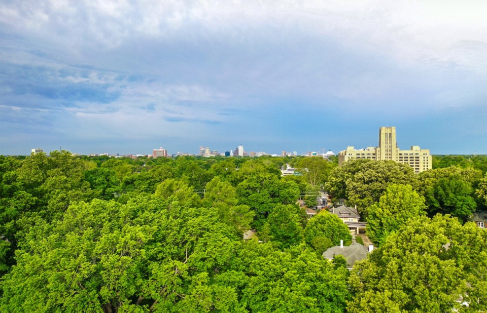 <strong>A canopy of trees covers Midtown Memphis near Crosstown Concourse on April 25, 2024.</strong> (Patrick Lantrip/The Daily Memphian)