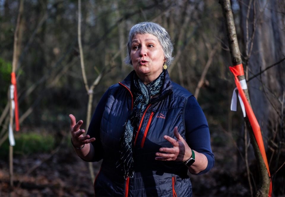 <strong>In March 2024, Overton Park Conservancy executive director Tina Sullivan gives a tour of a path that will eventually become a new trail in Overton Park's Old Forest.</strong>&nbsp;(Patrick Lantrip/The Daily Memphian)
