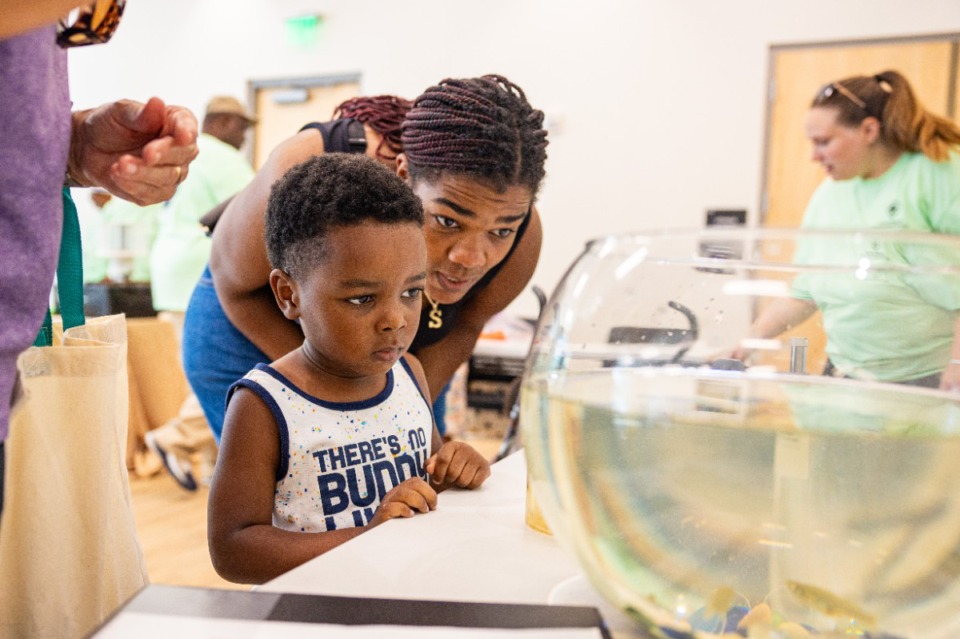 <strong>Families view examples of water in which mosquitoes can breed, during the Fight the Bite Environmental Festival June 22, 2024. The fest was held at&nbsp;Gaisman Community Center, 4221 Macon Road.</strong> (Benjamin Naylor/The Daily Memphian)