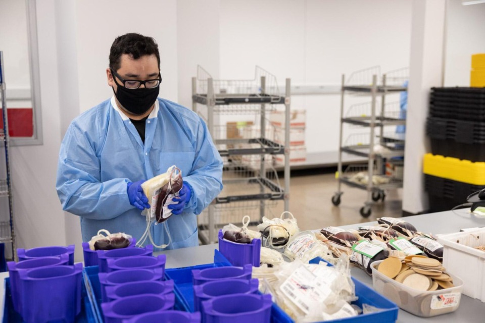 <strong>A Vitalant technician processes blood donations for distributions to hospitals.</strong> (Courtesy Vitalant)