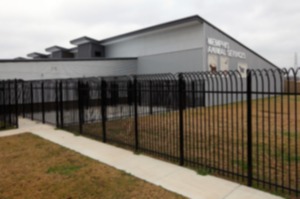 <strong>The Memphis Animal Services at 2350 Appling City Cove.</strong> (The Daily Memphian file)