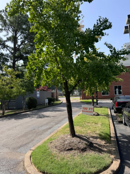 <strong>St. John&rsquo;s Episcopal Church polling place.</strong> (Elle Perry/The Daily Memphian)