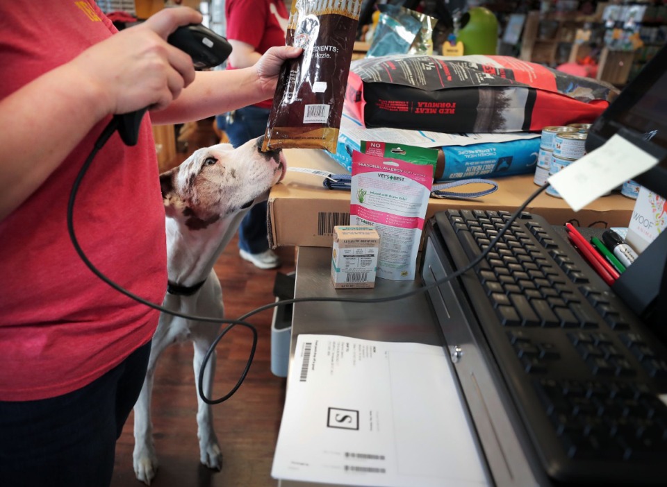 <strong>A four-legged customer gets curious about treats while delivery and curbside pickup orders are prepared at the Collins Street Hollywood Feed store.</strong>&nbsp;(The Daily Memphian file)