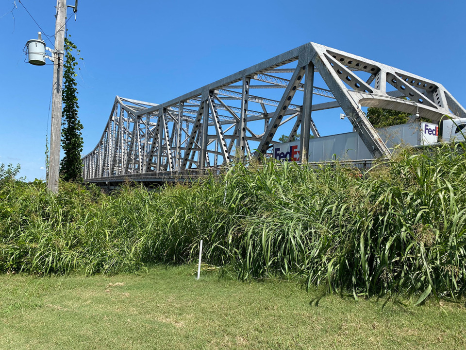 <strong>A new hedge and thick brush in Crump Park&rsquo;s border with the Memphis-Arkansas Bridge makes talks of past surrounding pedestrian paths hard to envision.</strong> (Bill Dries/Daily Memphian)