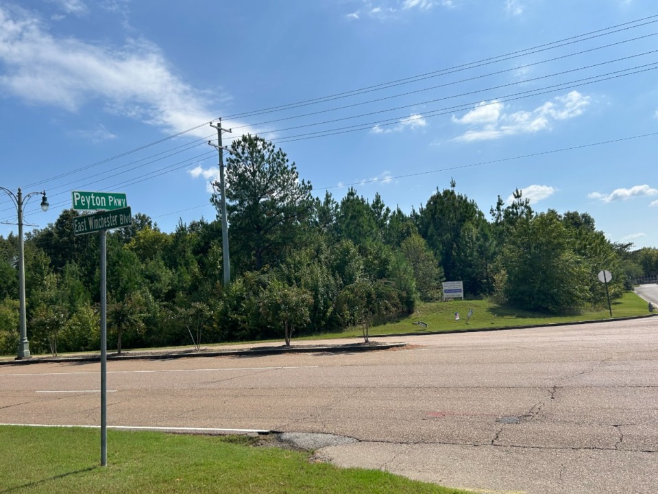 <strong>The south side of Winchester near Peyton Parkway will be home to a new age-restricted subdivision and office. The board approved the proposal Monday night. </strong>(Abigail Warren/The Daily Memphian)