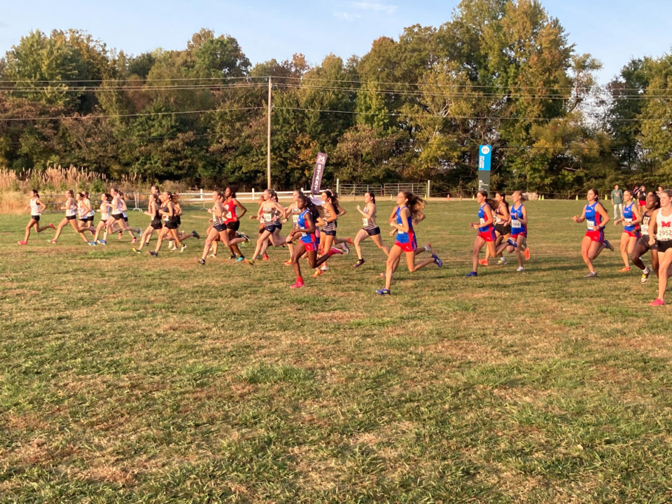 <strong>Girls in the Region 8-AAA cross country championship race set out on their 5K run through Shelby Farms.</strong> (Courtesy Len Hardison)